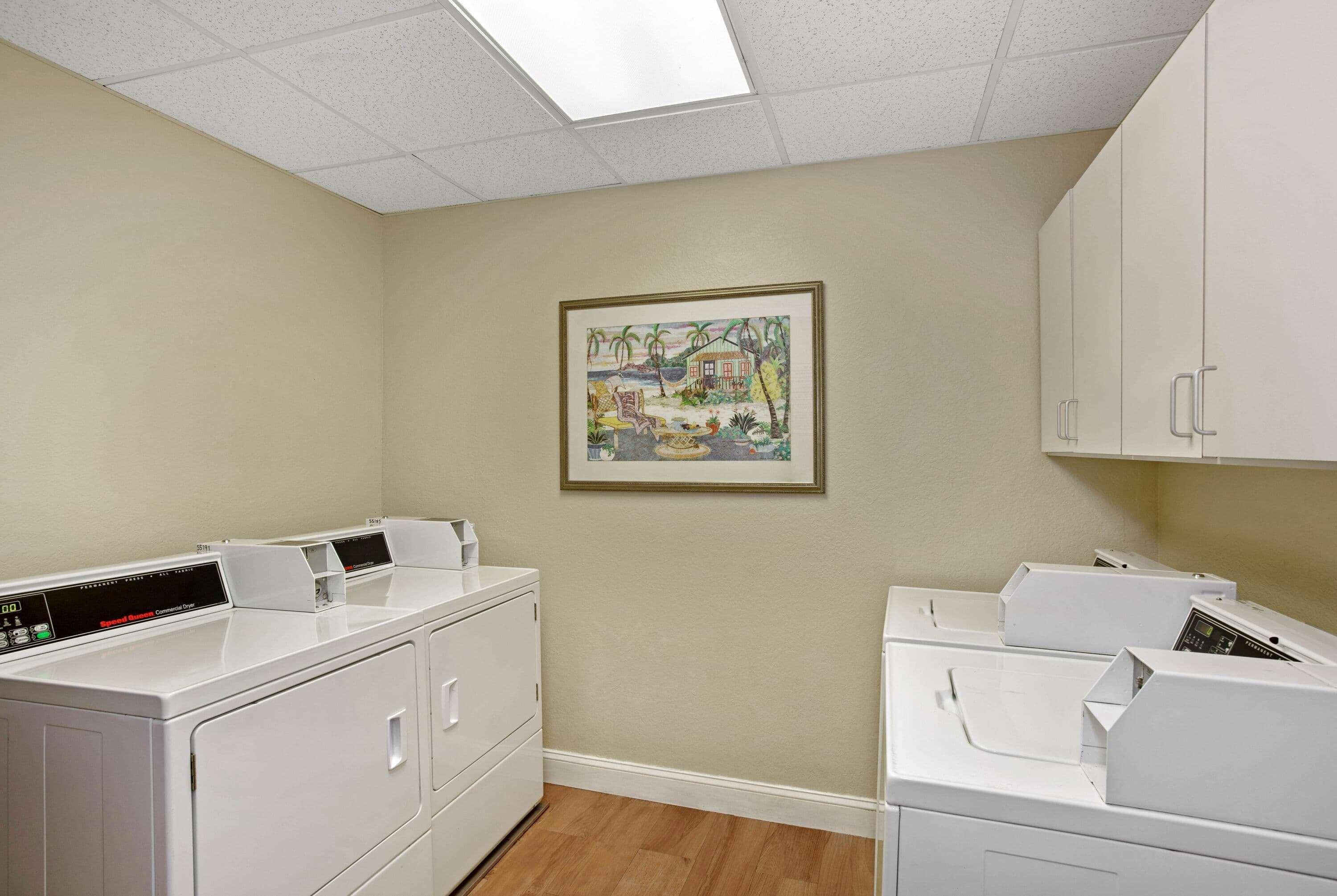 Comfort Inn & Suites Sarasota I75 The Meadows Exterior foto